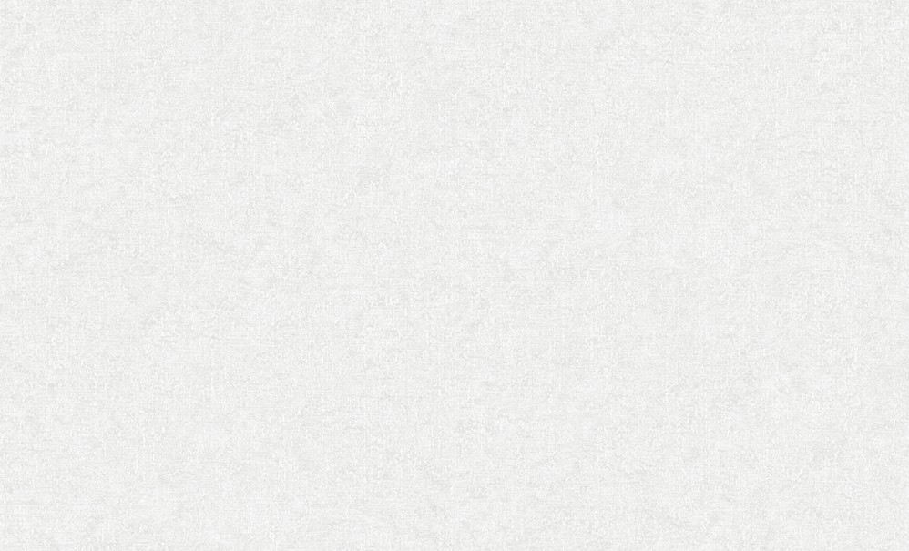 Обои белые однотонные Erismann виниловые Marseille арт. 60247-02