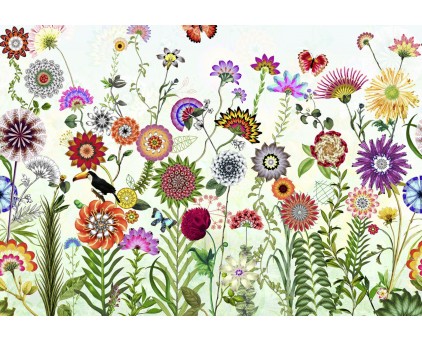 8-200 Фотообои Komar "Brazil"