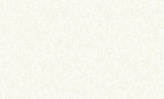 Обои бежевые Бенефит виниловые на флизелиновой основе - Benefit арт. 60012-02 Бежевые однотонны