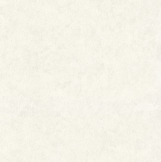 Обои белые однотонные с фактурным рисунком Euro Decor виниловые Evolution арт. 7112-00 Обои виниловые бе