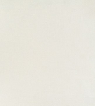 Обои бежевые однотонные Артекс Веселые таксы арт. 10715-02 Обои бежевые одно