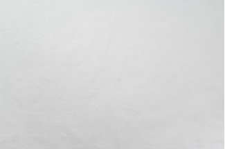 10950-01 Обои дек