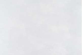 10834-01 Обои декор.г.т. Артекс Вербена-уни 10м*1,06м/6 10834-01 Обои дек