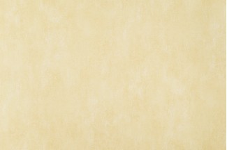 10722-04 Обои декор.г.т. Артекс Рандеву-уни 10м*1,06м/6 10722-04 Обои дек