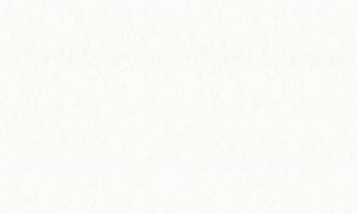 Однотонные обои виниловые OVK Design Венециано арт. 10449-01 Белые однотонные