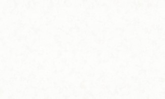 Обои белые флизелиновые классика Кристэл арт.10545-01 Обои белые класси