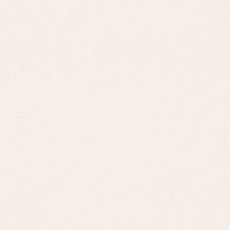 Обои однотонныйе 