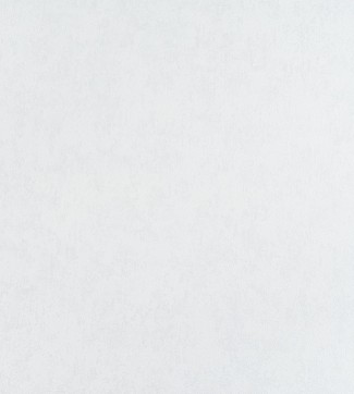 Обои однотонные белые Артекс Бронкс арт. 10631-01 Обои однотонные б