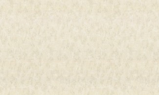 Однотонные обои виниловые OVK Design Венециано арт. 10449-03 Бежевые однотонны