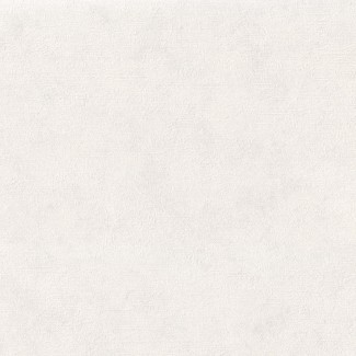 Обои белые однотонные виниловые Евро Декор Verbena арт. 6016-00 Обои белые одното