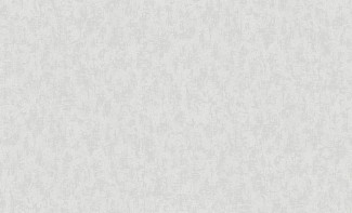 Обои серые Бенефит виниловые на флизелиновой основе - Benefit арт. 60012-04 Серые однотонные