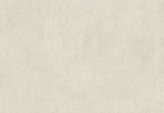 Обои бежевые Евро Декор винил горячего тиснения Woods арт. 7106-01 Однотонные бежевы