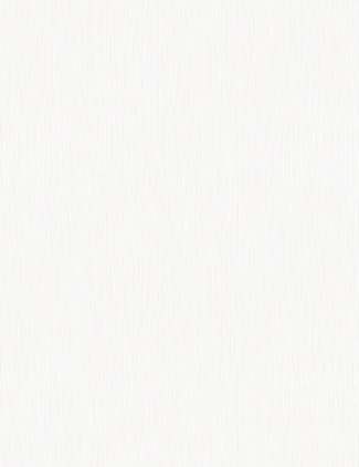 Обои однотонные белые Evolution арт. 168485-10 Обои однотонные б