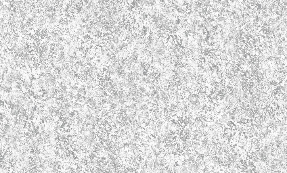 Обои серые однотонные Антураж винил Dolores арт. 168308-09