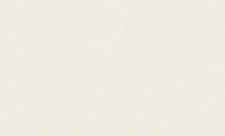 Обои виниловые бежевые однотонные Benefit 6 арт. 60295-03 Обои виниловые бе