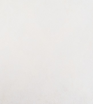 10757-02 Обои дек