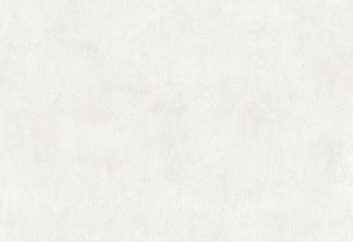 Обои серые Евро Декор винил горячего тиснения Woods арт. 7106-00 Однотонные серые