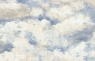 Обои синие облака Euro Decor виниловые Balloon арт. 9071-20 Обои синие винило