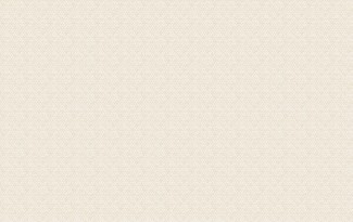 Обои с орнаментом виниловые OVK Design Арабика арт. 10336-02 Обои с орнаментом